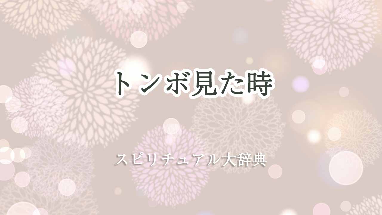 トンボ見た-スピリチュアル