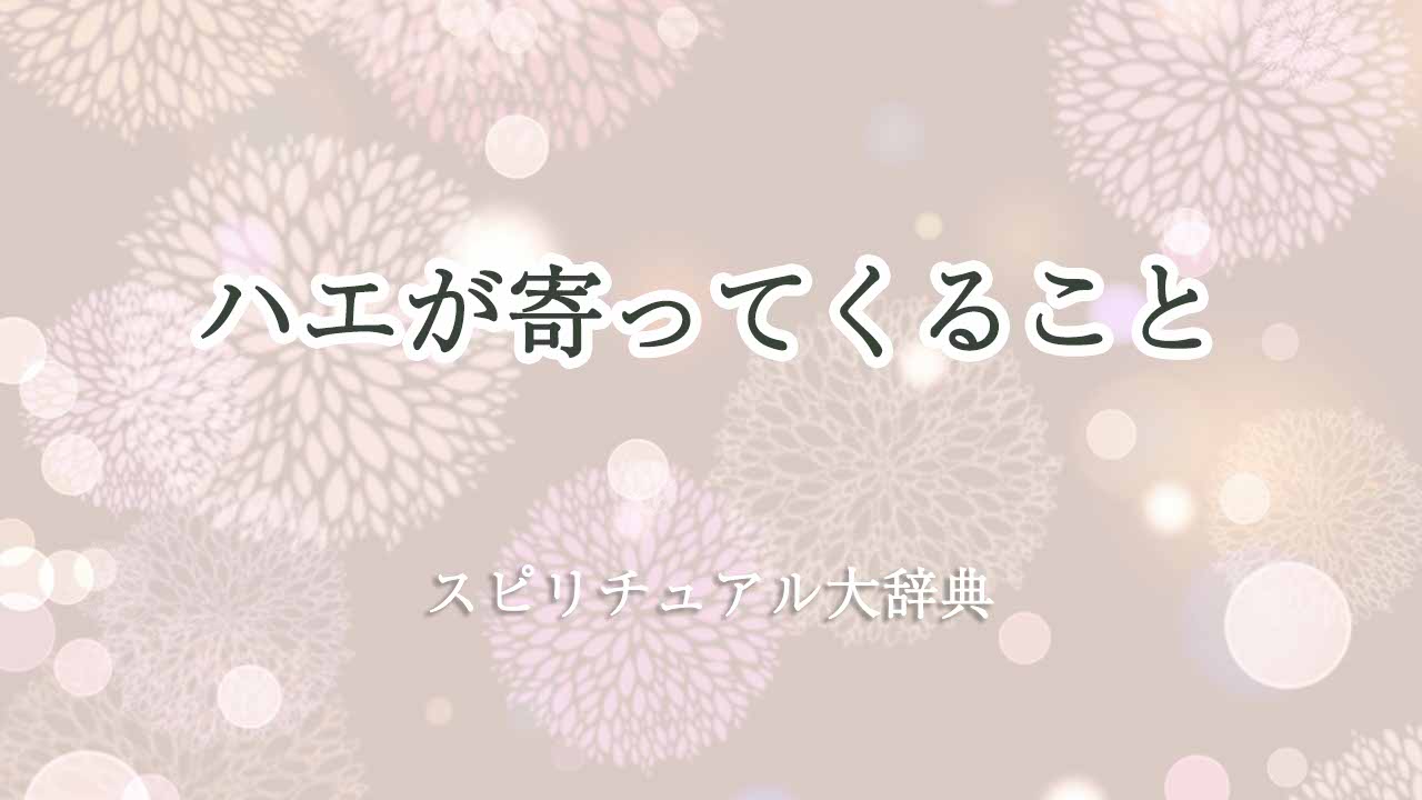 ハエ が 寄っ て くる スピリチュアル