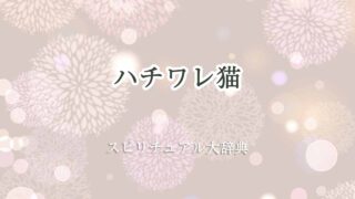 ハチワレ猫-スピリチュアル