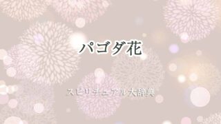 パゴダ花スピリチュアル