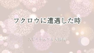 フクロウ遭遇-スピリチュアル