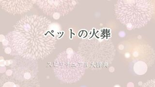 ペット-火葬-スピリチュアル