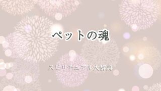 ペット-魂-スピリチュアル