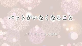 ペットがいなくなる-スピリチュアル
