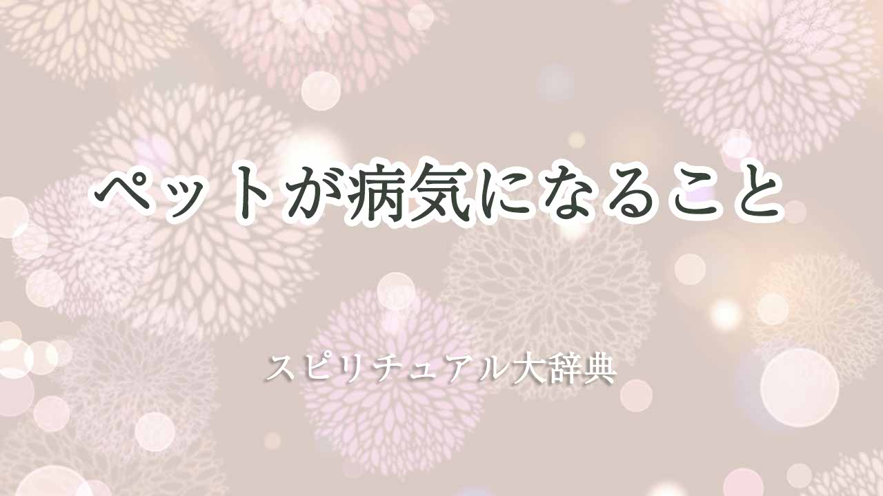 ペットが病気-スピリチュアル