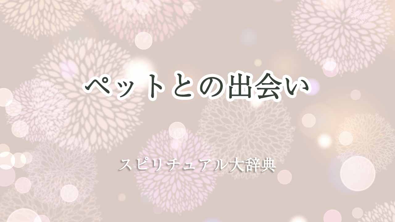 ペットとの出会い-スピリチュアル