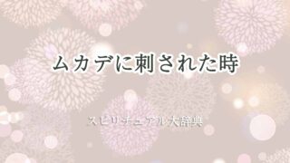 ムカデ-刺された-スピリチュアル