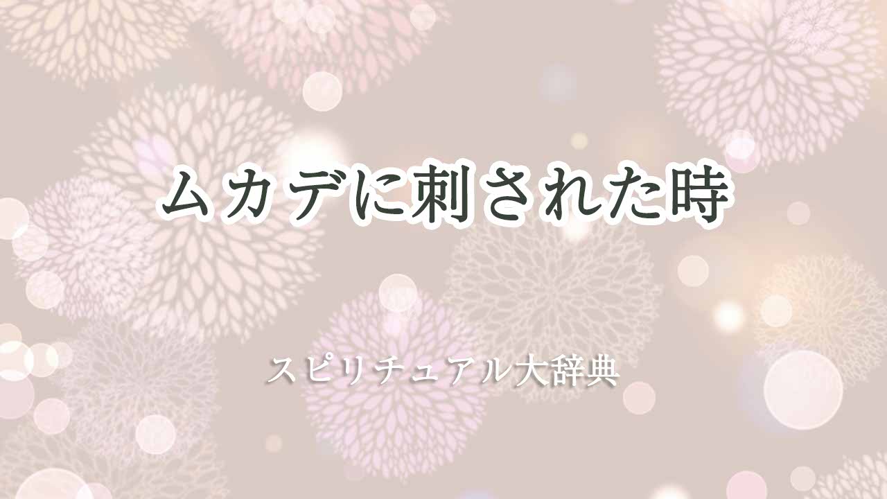 ムカデ-刺された-スピリチュアル