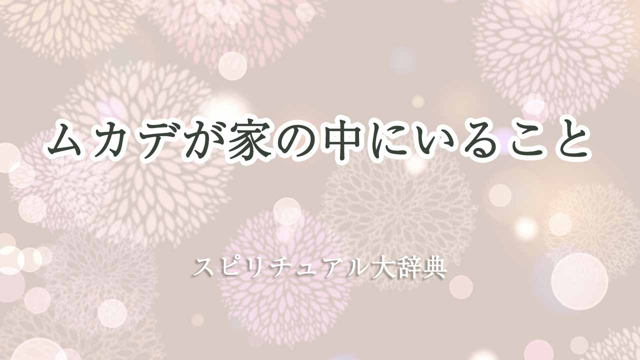 ムカデ-家の中-スピリチュアル