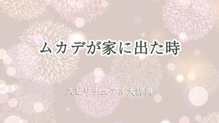 ムカデが家に出た-スピリチュアル
