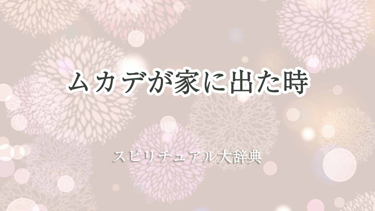 ムカデが家に出た-スピリチュアル