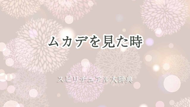 ムカデを見た-スピリチュアル