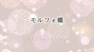 モルフォ蝶-スピリチュアル