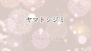 ヤマトシジミ-スピリチュアル