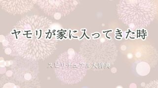 ヤモリが家に入ってきたスピリチュアル