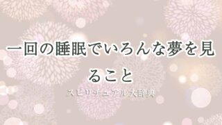 一-回の睡眠で-いろんな夢を見る-スピリチュアル