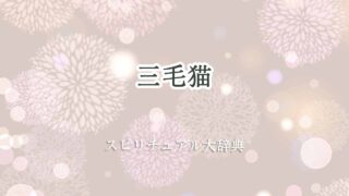 三毛猫-スピリチュアル