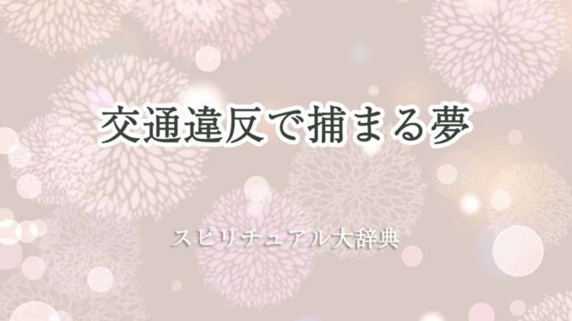 交通違反で捕まる夢-スピリチュアル