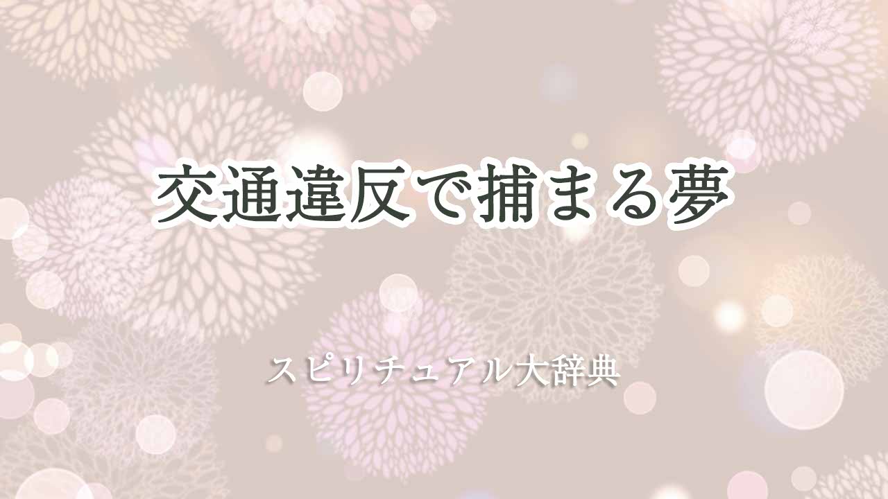 交通違反で捕まる夢-スピリチュアル