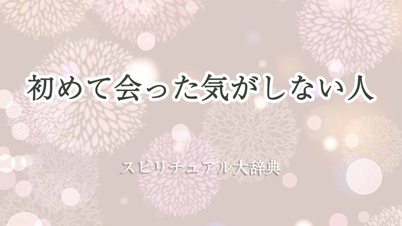 初めて 会っ た 気 が しない スピリチュアル