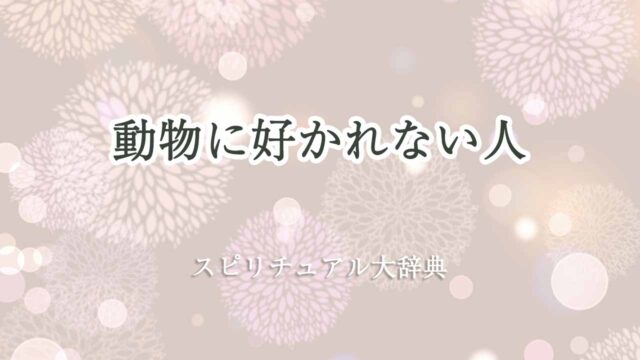 動物に好かれない人-スピリチュアル