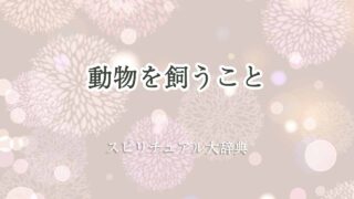 動物を飼う-スピリチュアル