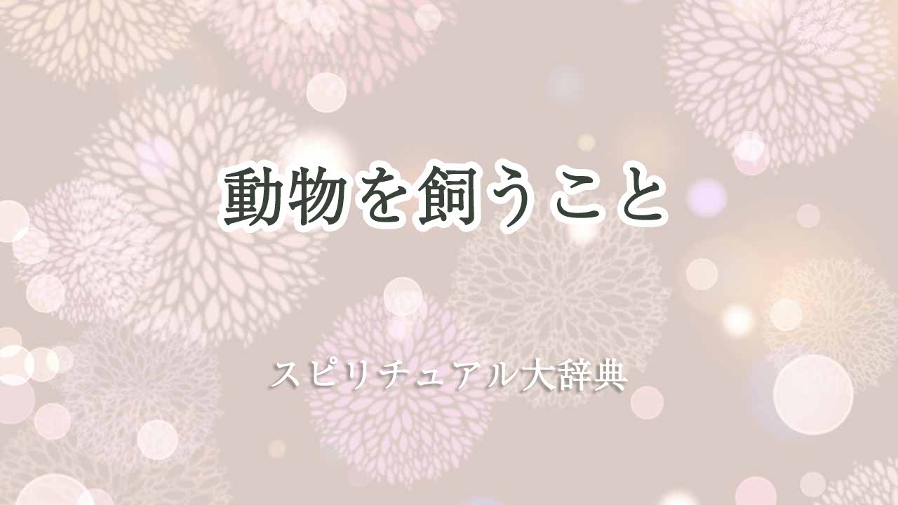動物を飼う-スピリチュアル