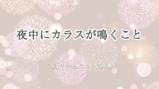 夜中にカラスが鳴くスピリチュアル