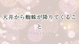 天井から蜘蛛が降りてくる-スピリチュアル
