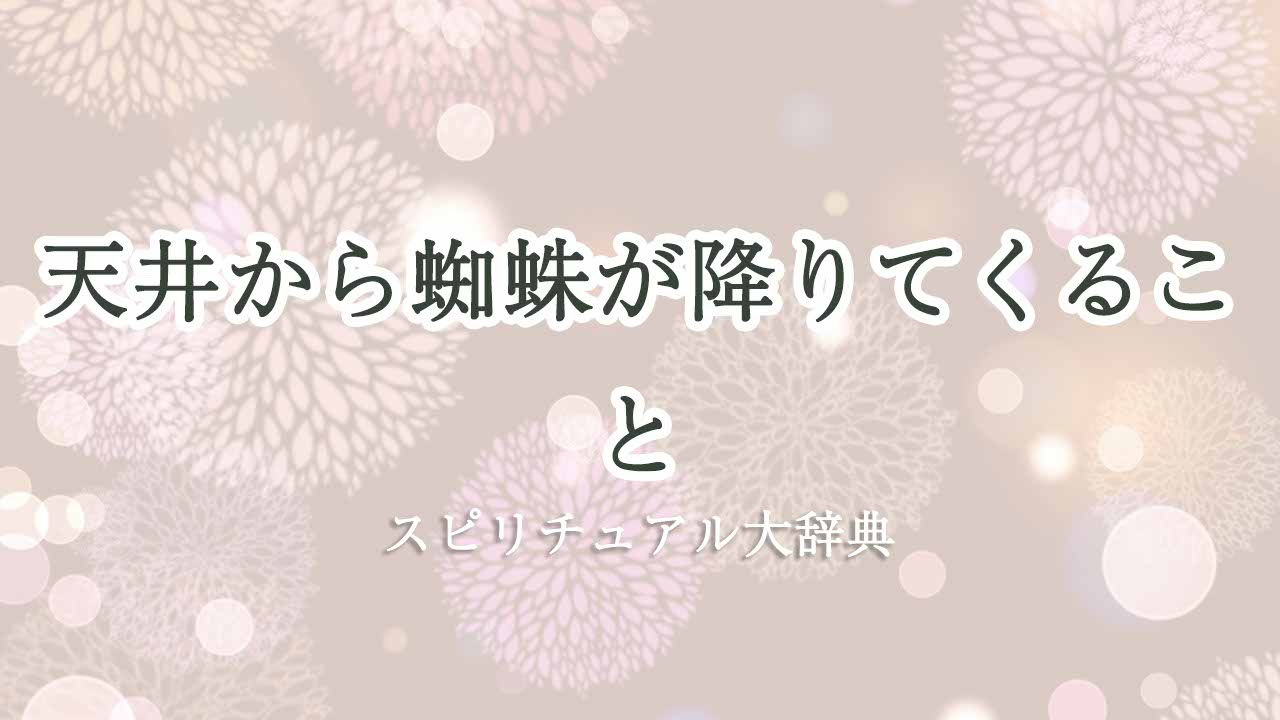 天井から蜘蛛が降りてくる-スピリチュアル