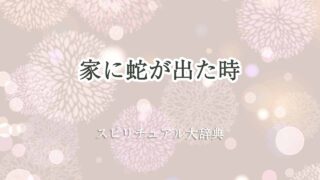 家に蛇が出た-スピリチュアル
