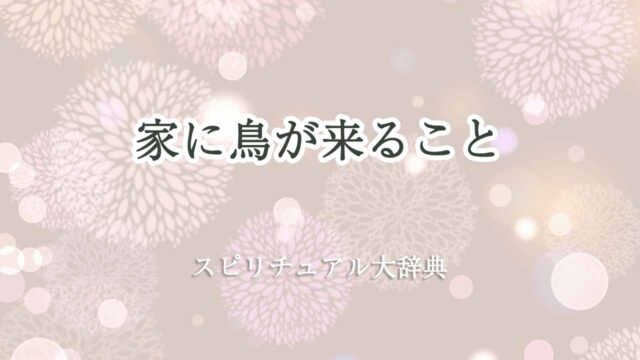 家に鳥が来る-スピリチュアル