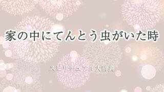 家の中にてんとう虫-スピリチュアル