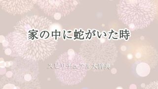 家の中に蛇スピリチュアル