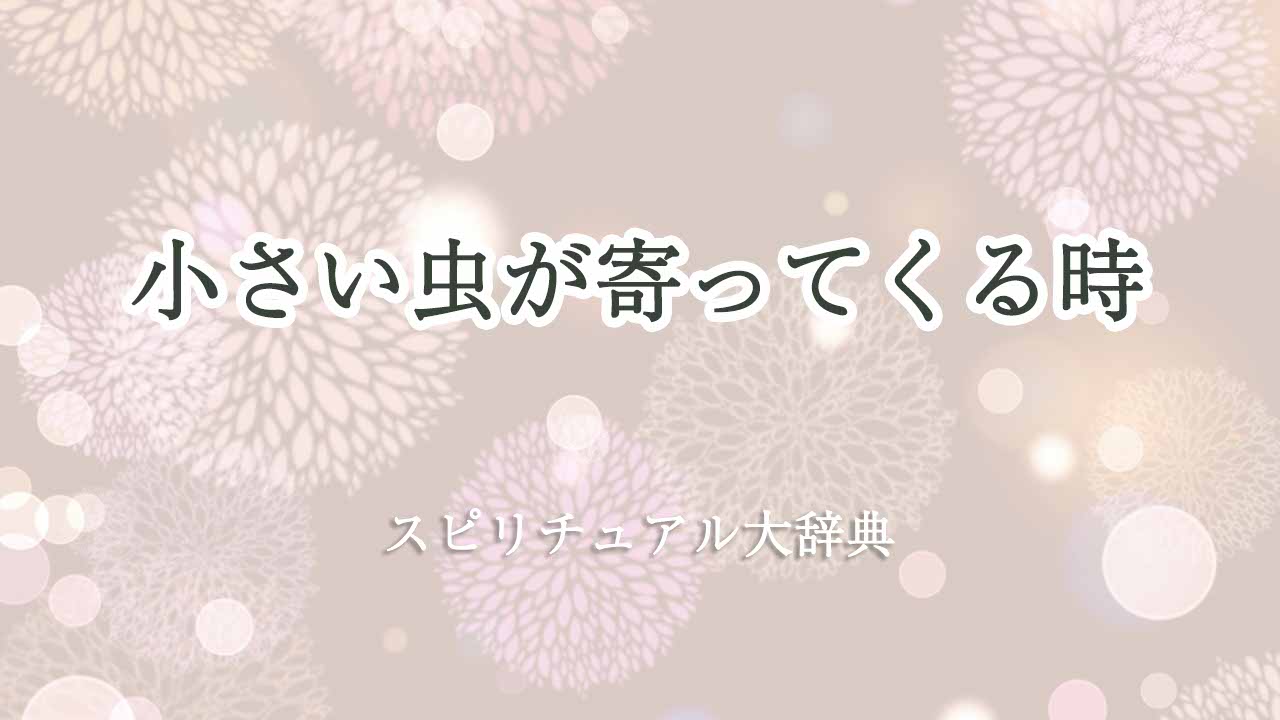 小さい-虫が寄ってくる-スピリチュアル