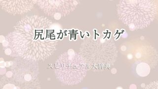 尻尾が青いトカゲ-スピリチュアル