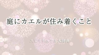 庭にカエルが-住み着く-スピリチュアル