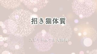 招き猫-体質-スピリチュアル