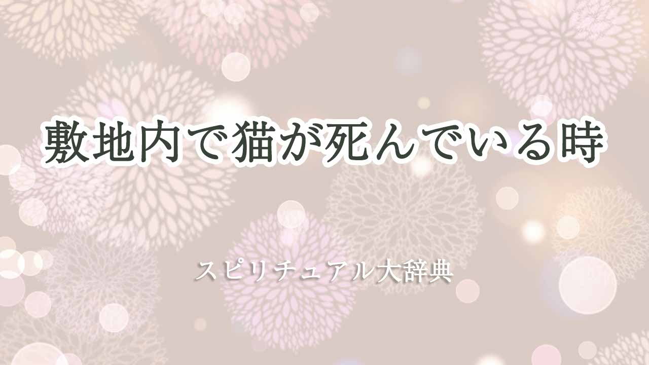 敷地内で猫が死んでいる-スピリチュアル