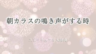 朝-カラス-鳴き声-スピリチュアル
