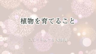 植物-を-育てる-スピリチュアル