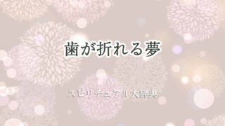 歯が折れる夢-スピリチュアル