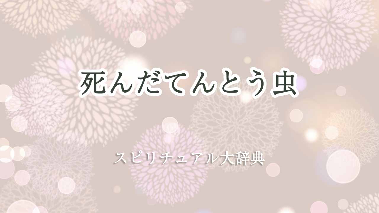 死んだてんとう虫-スピリチュアル