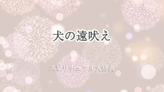 犬-遠吠え-スピリチュアル