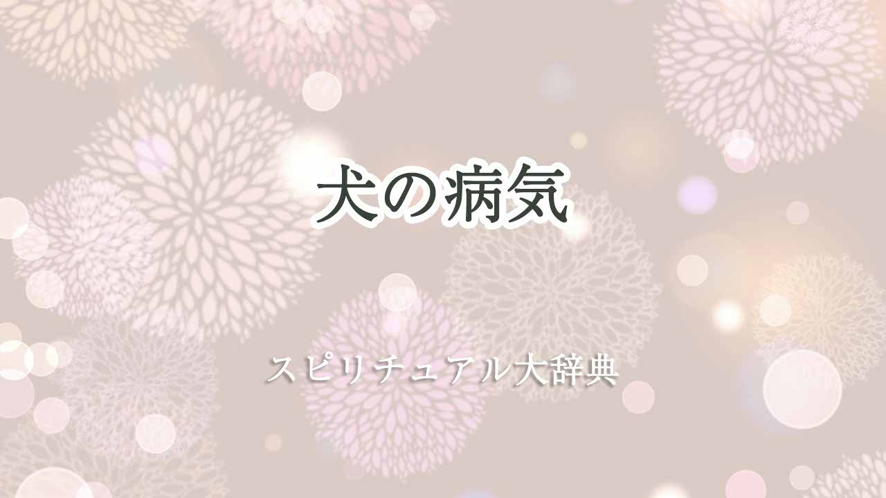 犬の病気スピリチュアル