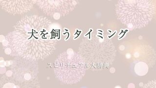 犬を飼う-タイミング-スピリチュアル
