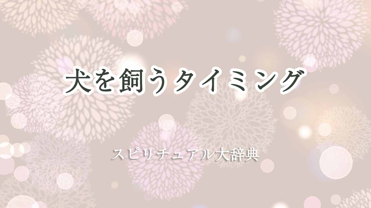 犬を飼う-タイミング-スピリチュアル