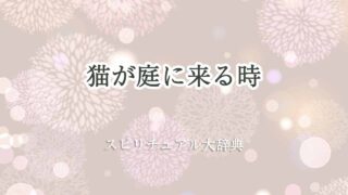 猫-庭に来る-スピリチュアル