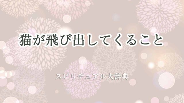 猫-飛び出し-スピリチュアル