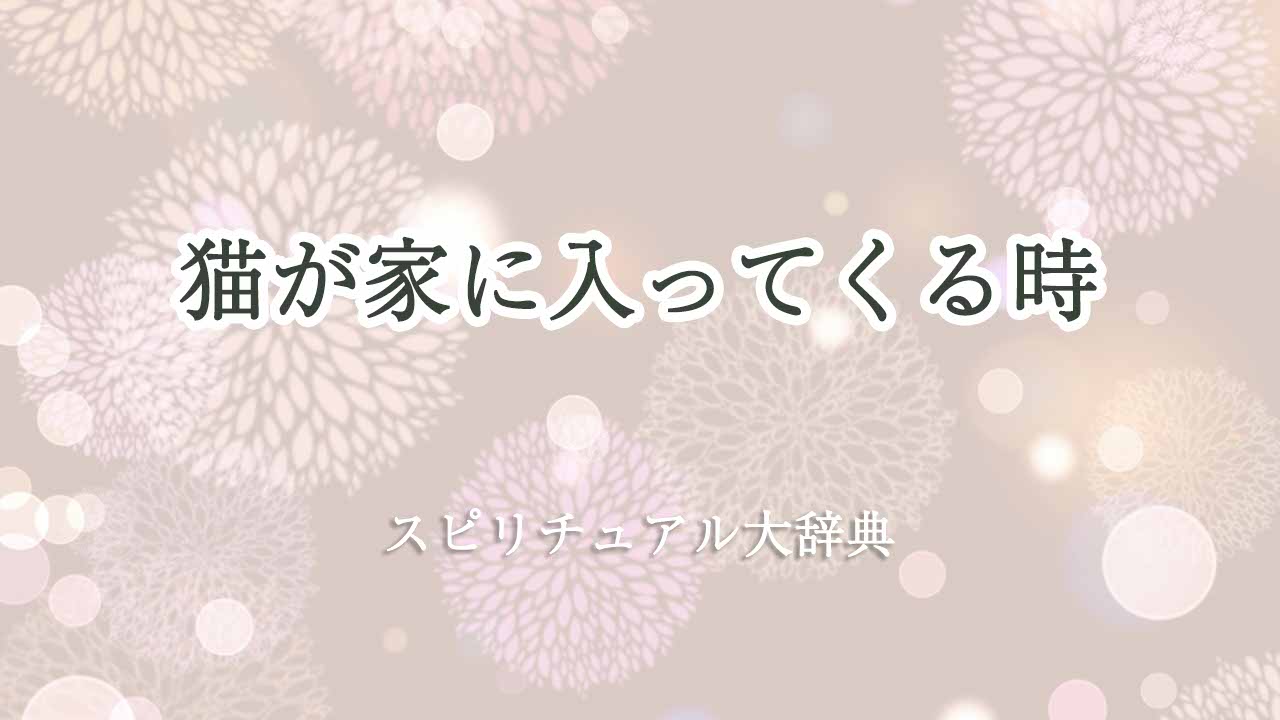 猫が家に入ってくる-スピリチュアル